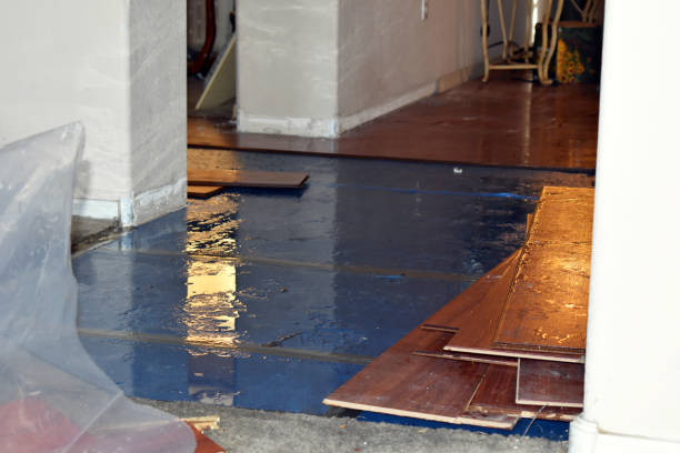 Professional Basement Flood Cleanup technician working in Amboy, MN